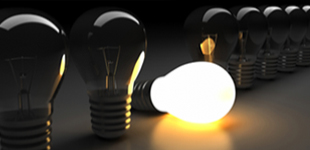 bulbs